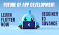 teach you mobile app development using flutter and dart