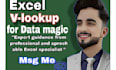 be your excel v lookup,h lookup,fuzzy lookup spreadsheet expert