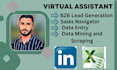 do lead generation , data entry , email list building