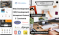 develop management systems and web applications