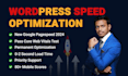 do wordpress speed optimization for google page speed insights