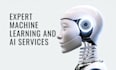 be your professional machine learning engineer