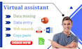 be your virtual assistant for all your needs in data entry