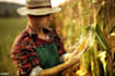 write maize farming business plan for startups