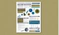 design eye catching research, scientific, conference posters