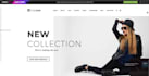 do a professional wordpress website and ecommerce website