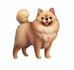 make a custom pet portrait