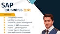 provide sap b1 technical support and consultancy