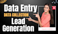 provide data collection, lead generation, data entry task