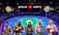 write boxing, wwe and MMA ufc youtube scripts or articles