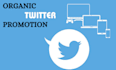do super fast twitter tweet engagement and promotion