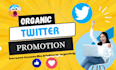 do super fast twitter tweet engagement and promotion