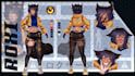 make a reference sheet your vtuber, dnd, furry, game, personal character for you