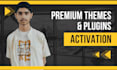 activate themes and plugins