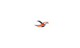 design improving over time puffin bird logo