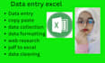 do best data entry copy paste, data collection and cleaning