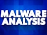 offer malware analysis investigations