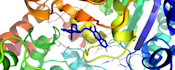 perform MD simulation, molecular docking, and protein and protein ligand gromacs