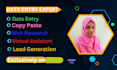 do data entry web research and copy paste job