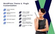 expertly customize wordpress theme and plugins  flawlessly