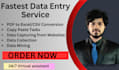 do accurate data entry in perfect time and very responsively