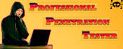 do penetration testing on web applications and network vulnerabilities