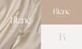 design an elegant feminine clothing logo with branding kit