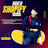 build a shopify dropshipping store or shopify website