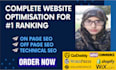seo optimize and boost up your website for ranking
