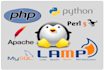 provide expert technical support for linux hosting servers