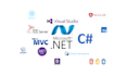 do bug fixing in the dotnet application