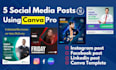 desgin 5 social media posts using canva templete, logo, lead magnet, flyer