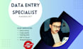 do best data entry, excel data entry and copy paste job