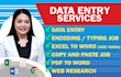 be your virtual assistant for data entry, encoding, and web research tasks
