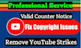 remove copyright violations, copyright strike and send counter notice