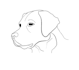 make modern minimalist line art illustration fast delivery