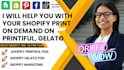 build shopify ecommerce store shopify printify tshirt website development expert