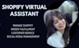 be shopify dropshipping virtual assistant, customer service