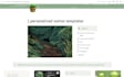 make a personalized notion template