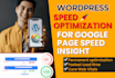 do wordpress website speed optimization, increase page speed, core web vitals