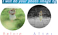 customized image background removal and eedting