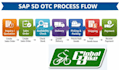 give sap sd support, training, configuration, assignments