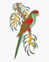 be a embroidery digitizer