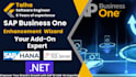 develop sap b1 addons wizard