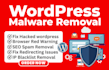 fix hacked wordpress, japanese SEO spam removal, remove malware or clean virus