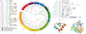 assist you in genome wide and bioinformatics analysis