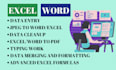 do excel word data entry data formatting and data cleaning