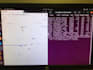 do embedded programming, python and c plus plus