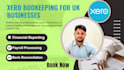 do professional xero accounting and bookkeeping support UK