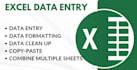 be organize your excel sheet data entry and copy paste work